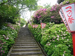 d0086228_1459381.jpg