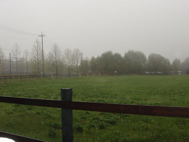 f0114128_11572059.jpg