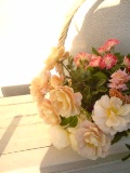 c0073332_964757.jpg