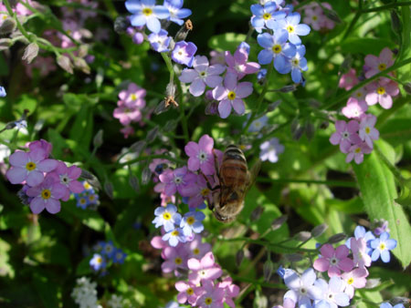 e0097534_17133047.jpg