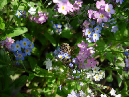 e0097534_17135999.jpg