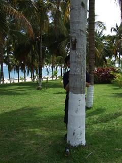 c0029042_23562214.jpg