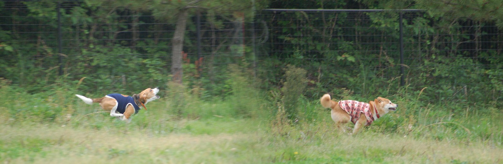 c0119142_1493637.jpg