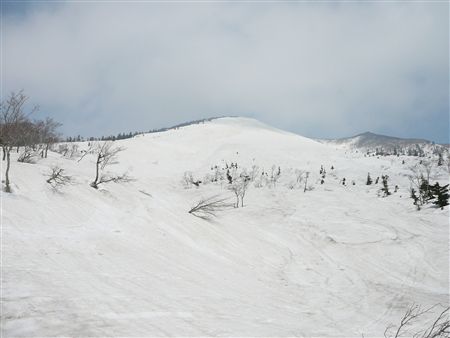 c0081645_2312494.jpg