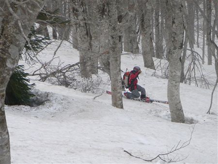 c0081645_23312114.jpg