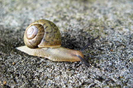a0012950_15174428.jpg