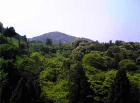 清水寺・六波羅蜜寺・勝尾寺・総持寺_f0065954_19303811.jpg