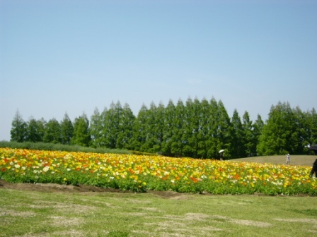a0098058_18273556.jpg