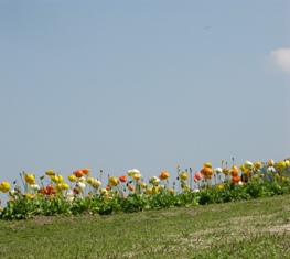 a0098058_18285389.jpg