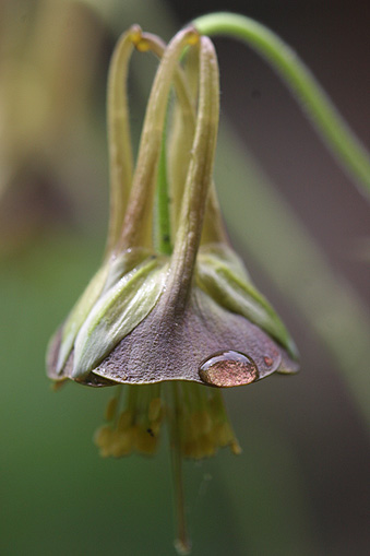 c0006870_82455.jpg