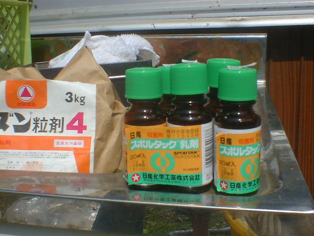 d0040076_20275859.jpg
