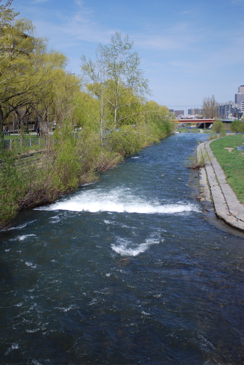 f0126483_15044.jpg