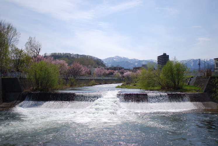 f0126483_16678.jpg