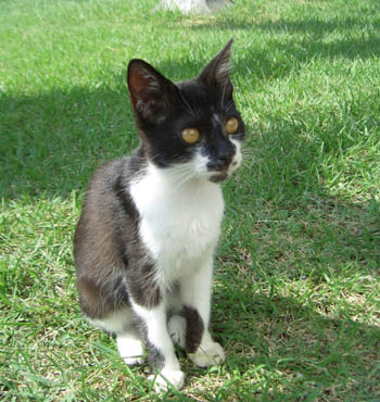d0000995_8565147.jpg