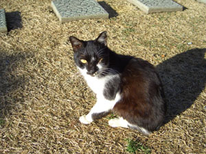 d0000995_932370.jpg