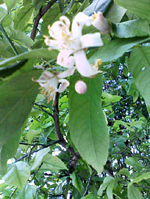 b0028109_18181583.jpg