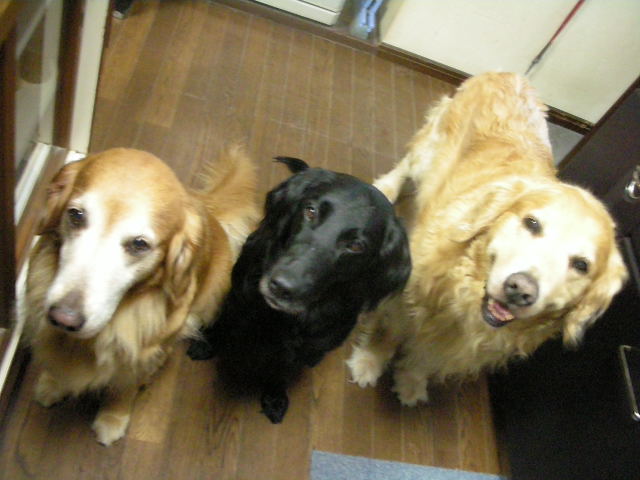 c0017311_1044218.jpg
