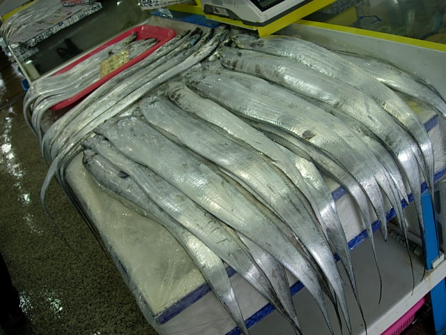 e0005411_10204952.jpg