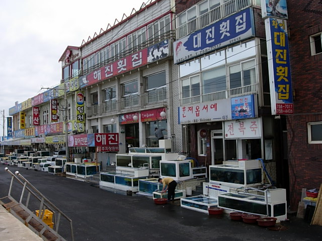 e0005411_102158.jpg