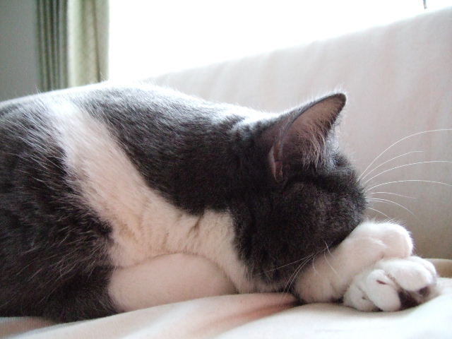 f0032020_1413596.jpg