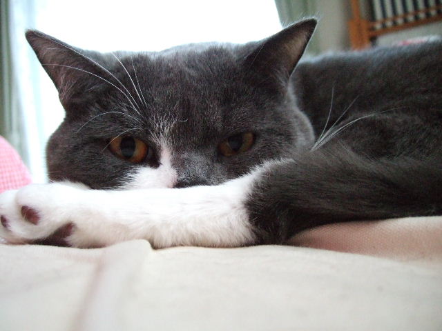f0032020_1415278.jpg