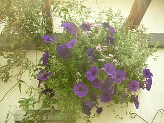 背水の陣_c0102228_20103620.jpg