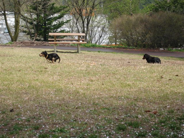 f0002532_02063.jpg