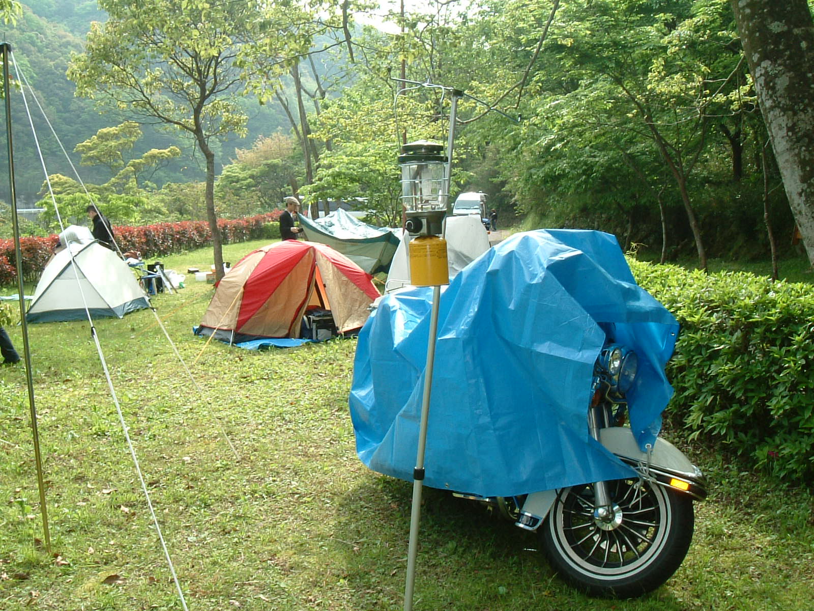 f0012637_1043226.jpg