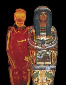 大英博物館 ミイラと古代エジプト展 In神戸市立博物館 イルカが愛を確かめにくる 青い海の底の日常生活