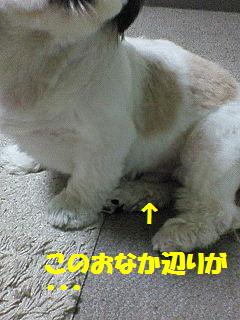 f0067245_21261677.jpg