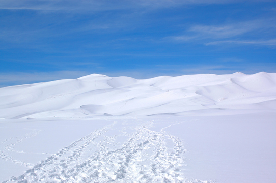 雪のち山、ときどき温泉 (2)：　コロラド　2006年10月_d0008146_1045884.jpg