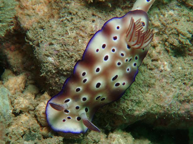 ５月０６日(土) 沖縄本島_c0020054_23375714.jpg