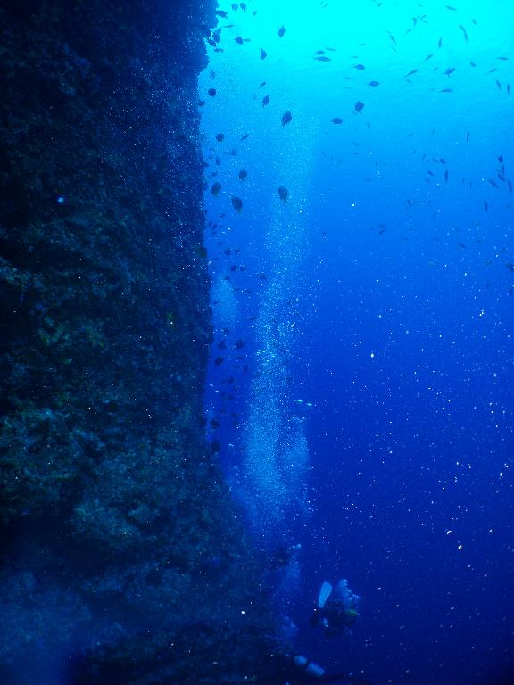 ５月０５日(土) 沖縄本島_c0020054_653476.jpg