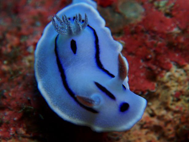 ５月０５日(土) 沖縄本島_c0020054_6542085.jpg