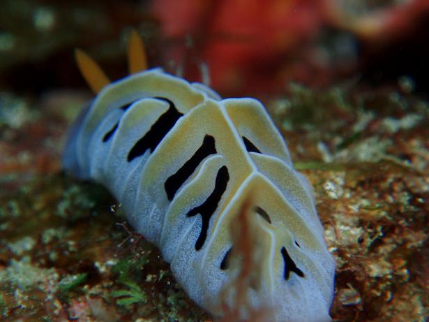 ５月０５日(土) 沖縄本島_c0020054_6544189.jpg