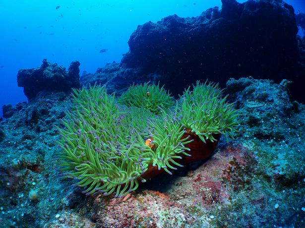 ５月０５日(土) 沖縄本島_c0020054_73317.jpg