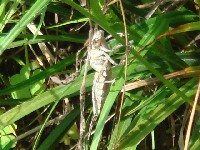 c0108460_2202398.jpg