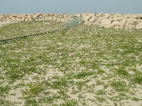 c0108460_2212120.jpg