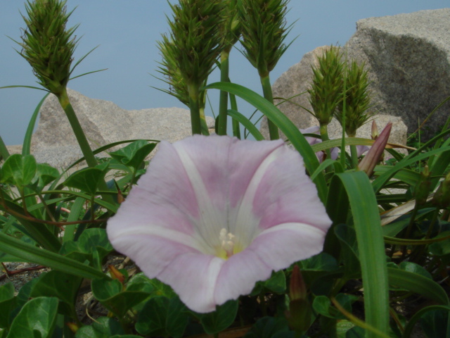 c0108460_2221068.jpg