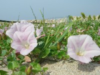 c0108460_2225923.jpg