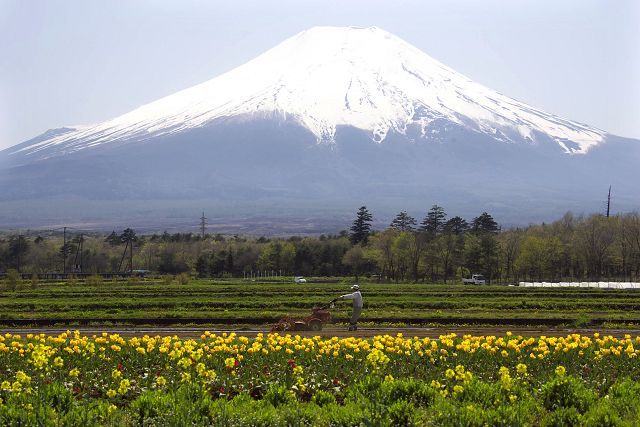 山中湖・花の都公園（５月８日）_c0057265_213151.jpg