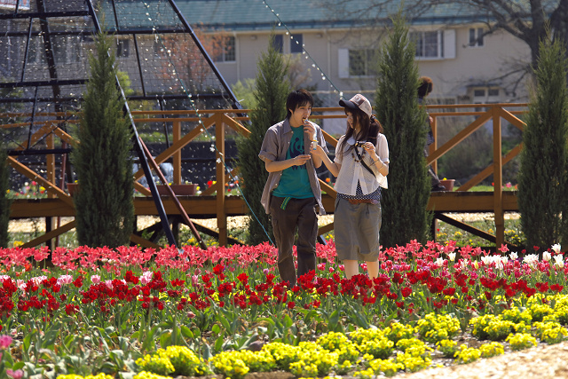 山中湖・花の都公園（５月８日）_c0057265_21325899.jpg