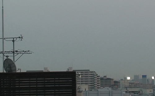 d0083265_21312960.jpg