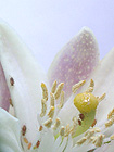 f0024090_1340526.jpg