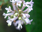 f0024090_1341293.jpg