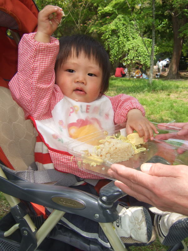 たどり着いたのは、上鴨神社（苦笑_b0044516_252272.jpg