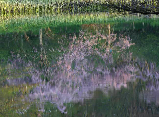 福島県半田沼公園_d0106628_6333189.jpg