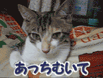 c0001339_196586.gif