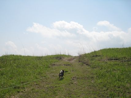 f0058241_17504571.jpg