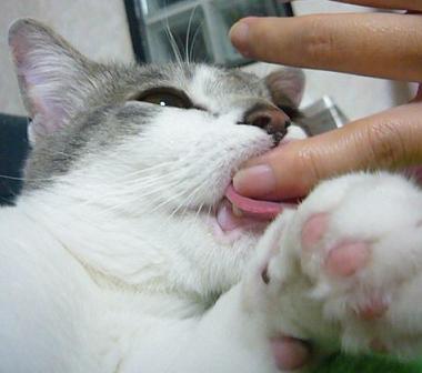 なな 3.5キロ りく5.5キロ_f0002743_9305392.jpg